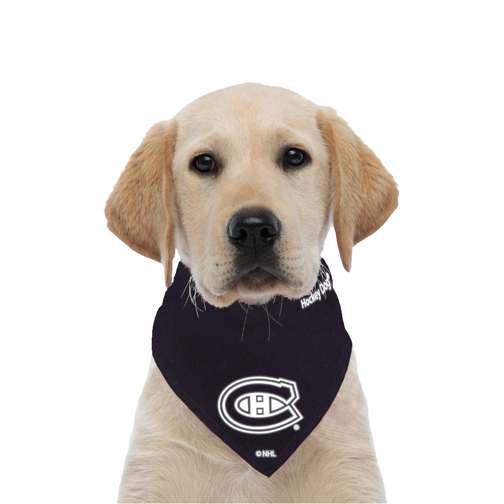 Reflective Dog Bandana - Montreal Canadiens