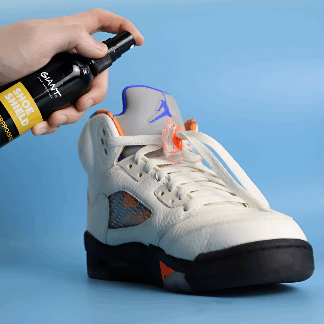 action of shoes cleaning - action de nettoyer un soulier