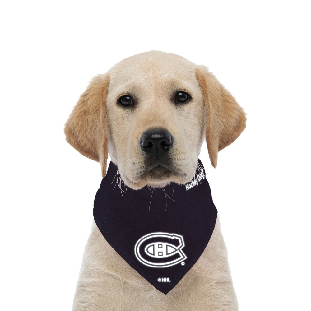 Reflective Dog Bandana - Montreal Canadiens