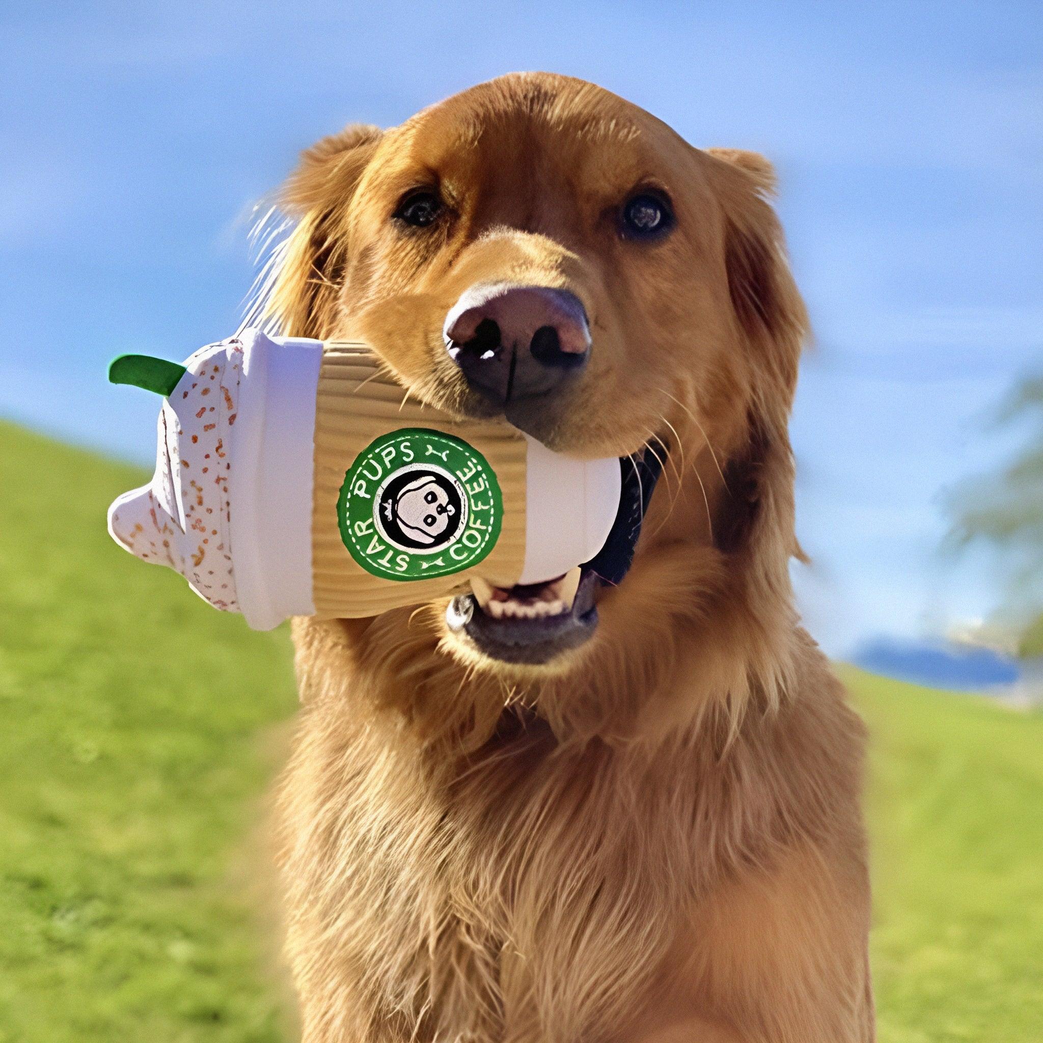 jouet en forme de café dans la bouche d'un golden retriever - golden retriever have coffee toys in mouth